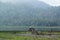 Lake Taman Hidup on the slopes of Mount Argopuro