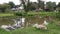 A lake at taman tasik  of Kluang, Johor, Malaysia