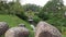 A lake at taman tasik  of Kluang, Johor, Malaysia