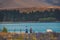 Lake Tekapo: Blue Waters with Peaceful Scenes (Mackenzie Basin, Lake Tekapo, South Island, New Zealand)