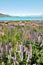 Lake Tekapo, New Zealand