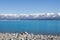 LAKE TEKAPO SOUTH ISLAND NEWZEALAND