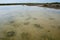 Lake Thetis Stromatolites