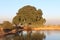 Lake and Thick foliage of a majestic tree