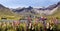 Lake of Tignes and flowers in France