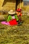 Lake Titicaca, woman knits on the bamboo floor in Uros island, Peru