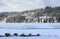 Lake Titisee in winter. Black Forest, Germany.