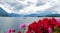 Lake Traunsee and flowers blooming in the front