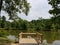 Lake with trees and green plants and pier