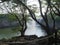 lake and trees of jiuzha valley in china