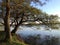 Lake with trees. Lake with trees near by Soro in Denmark. Lakeside trees in autumn.