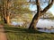 Lake with trees. Lake with trees near by Soro in Denmark. Lakeside trees in autumn.