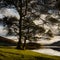 Lake and trees landscape at golden hour