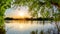 Lake with trees at sunset