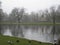 A lake and trees in the Vondelpark, Amsterdam