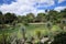 Lake and Tropical Landscaping at Pinecrest Gardens