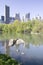 Lake and two ducks in Central Park in Spring with skyline in background, New York City, New York