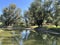 Lake Veliki Sakadas and floodplain forests, Kopacki rit Nature Park - Kopacevo, Croatia (Jezero Veliki Sakadas)