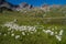 Lake verney,petit saint bernard,val d`aoste,italy