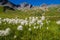 Lake verney,petit saint bernard,val d`aoste,italy