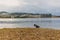 Lake view in autumn. Artificial Lake of Tirana, Albania