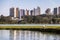 Lake view of Barigui Park with geese and city skyline - Curitiba, Parana, Brazil