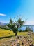 Lake view. landscapes on the lake. the landscape on the shores of lake Baikal.