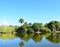 Lake view of the Park and Palm Trees