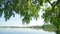 Lake view in park in summer, lush branches in the foreground, tilt down