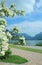 Lake view schliersee, blooming yasmine bush