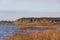 Lake view with seagrass and forest in background