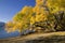 Lake Wanaka, New Zealand