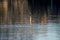 Lake water with defocused reflected trees