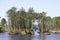 Lake water Hostens with trees pine island in Gironde Aquitaine