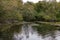 lake water rippling towards the foliage covered shore