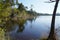 Lake water and trees wild natural in Hostens Gironde Aquitaine