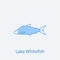 lake whitefish 2 colored line icon. Simple light and dark blue element illustration. lake whitefish concept outline symbol design