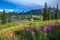 Lake and Wildflowers