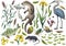 Lake wildlife collection, illustration, drawing, colorful doodle vector