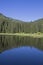 Lake Wildsee in the Ester mountains