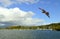 Lake Windermere in Cumbria Common buzzard in flight