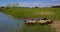 Lake with wooden boats decorated with flowers in the city park.