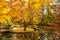 Lake with wooden bridges in Autumn in Australia.