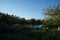 Lake Wuhlesee is surrounded by lush vegetation in September. Berlin, Germany