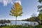 The lakefront campfire with Muskoka chairs in a tourist resort in Ontario, Canada