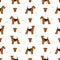 Lakeland terrier seamless pattern. Different poses, coat colors set