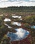 lakes in the middle of a swamp in autumn, a nature reserve Boloto Ozernoye in the Leningrad region