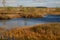 Lakes in the swamp in the Yelnya Nature Reserve, Belarus, autumn. Ecosystems environmental problems climate change