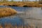 Lakes in the swamp in the Yelnya Nature Reserve, Belarus, autumn. Ecosystems environmental problems climate change
