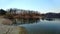 Lakescape view with a trees reflection on a water